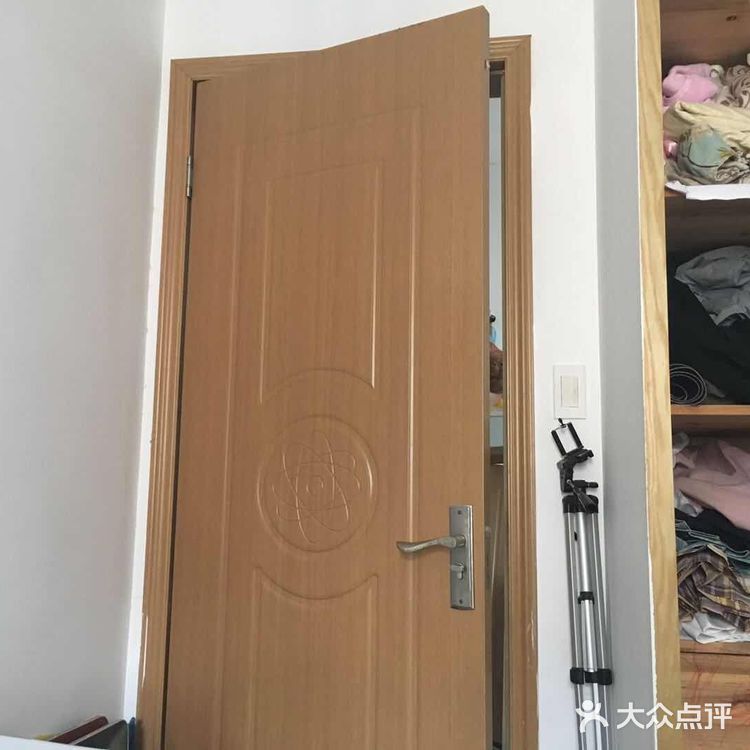偷窥的大橘