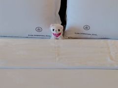 -惠州康帝国际酒店