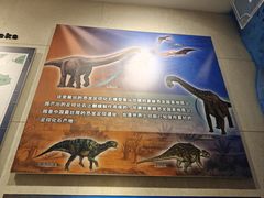 -甘肃地质博物馆