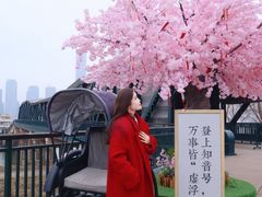 -武汉知音号