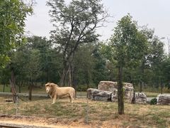 -秦皇岛野生动物园