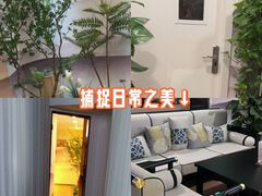 -领享养生会所·采耳·SPA按摩(厦门吕厝店)