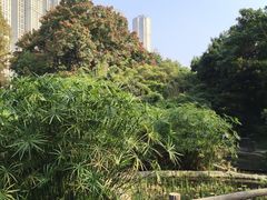 -成都市活水公园