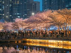 -西北湖绿化广场