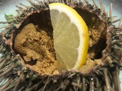 海胆刺身-威海渔村(静安旗舰店)