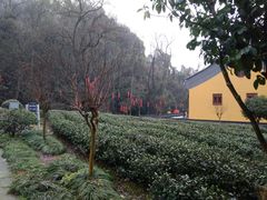 -杭州西湖风景名胜区-三生石