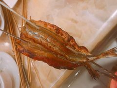 烤针亮鱼-胖太太四川麻辣排骨串(镇江路分店)