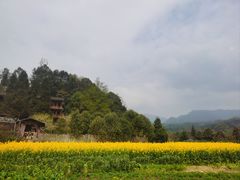 -雅安上里古镇
