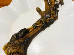 -老号尤兔头(幸福店)