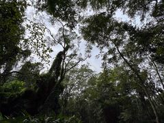-海南热带野生动植物园