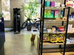 -伟伟宠物医院·CT影像中心·瑞派犬猫综合性门诊(汉口总院)
