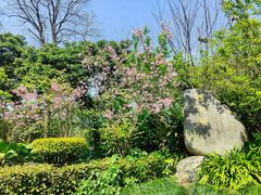 -福建鲤鱼洲酒店