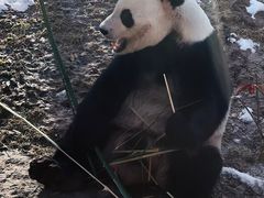 -济南野生动物世界