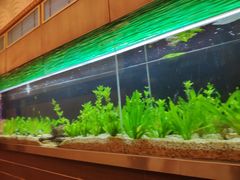 -海龙渔村(万江分店)