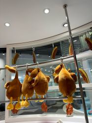 -MINI MARS KIDS CLUB亲子家庭中心(杨浦黄兴店)