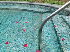 -广州从化都喜泰丽度假酒店温泉