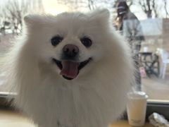 -小意思咖啡店(草桥店)