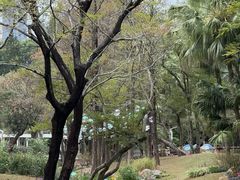 -人民公园(罗湖区)