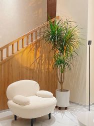 -锦尚名仕Hair Salon