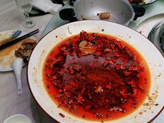 -天天鱼港·海鲜·鲅鱼水饺·招牌烤鸭(黄骅店)
