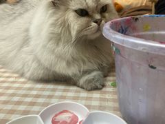 -朝画惜时·陶艺·拼豆·团建