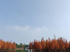 -白鹭湾湿地公园