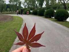 -上海鲜花港