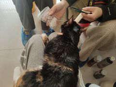 -平行世界·猫咖(首经贸店)
