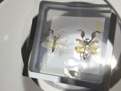 -上海昆虫博物馆