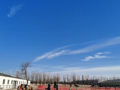 -北京群众马术培训基地