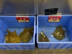 -飞尝蚝·顺德菜·鱼生(顺德总店)