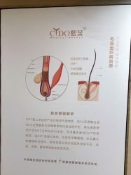 -熙朵美学植发连锁