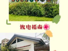 -前小桔亲子创意农场·草莓采摘·露营烧烤