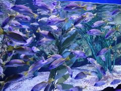 -水上乐园·欢乐世界