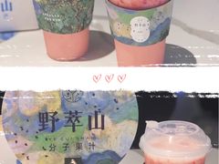 -野萃山·潮汕厚果汁(十亩地店)