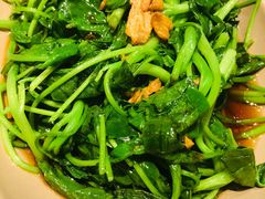 白灼芥兰苗-MR鹅外