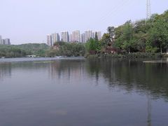 -重庆彩云湖湿地公园