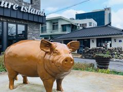 -Dombe豚(黑猪肉街店)