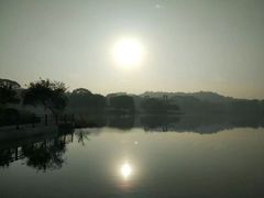-东莞植物园
