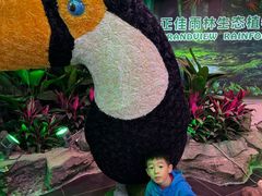 -正佳雨林生态植物园