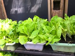 -旅马餐厅(茅家埠店)