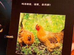 -云海肴云南菜(浦江欢乐颂店)