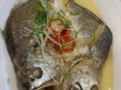 鸡汁蒸抱腌黄鱼-奎元馆.百年奎元.非遗传承(西湖边的解放路店)