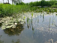 -云龙湖旅游景区