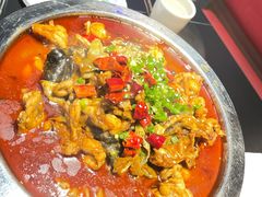 -美蛙四季(黄寺大街店)