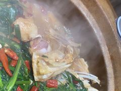 秘制水库鱼头-九道菜有鸡鱼头(石鼓路店)