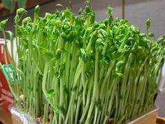 -海底捞火锅(正大乐城店)