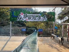 -南丹山森林王国