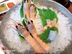 -Mr·Fish鱼鲜生海鲜放题(银泰in99店)