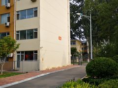 -山东鲁能乒乓球学校